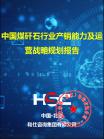 能源电力-行业报告-Z6尊龙凯时